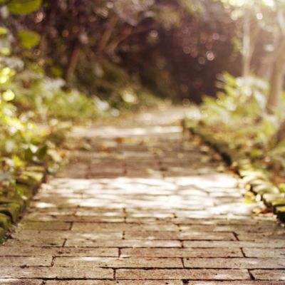 AOA体育登录入口手机app下载